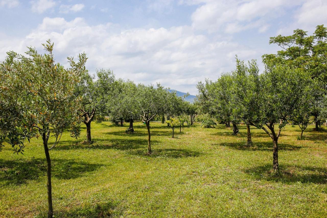Nomade - Slow Living Lodge Balestrate Εξωτερικό φωτογραφία